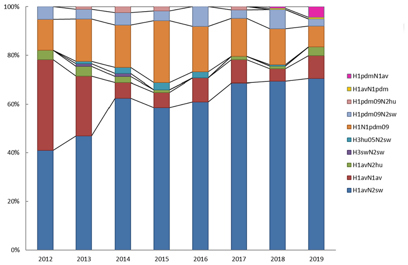 Graf - Fordeling af influenza A subtyper i procent af de subtypede indsendelser af prøver fra svin (kilde: Slutrapport 2019, Overvågning af influenza A virus i svin).