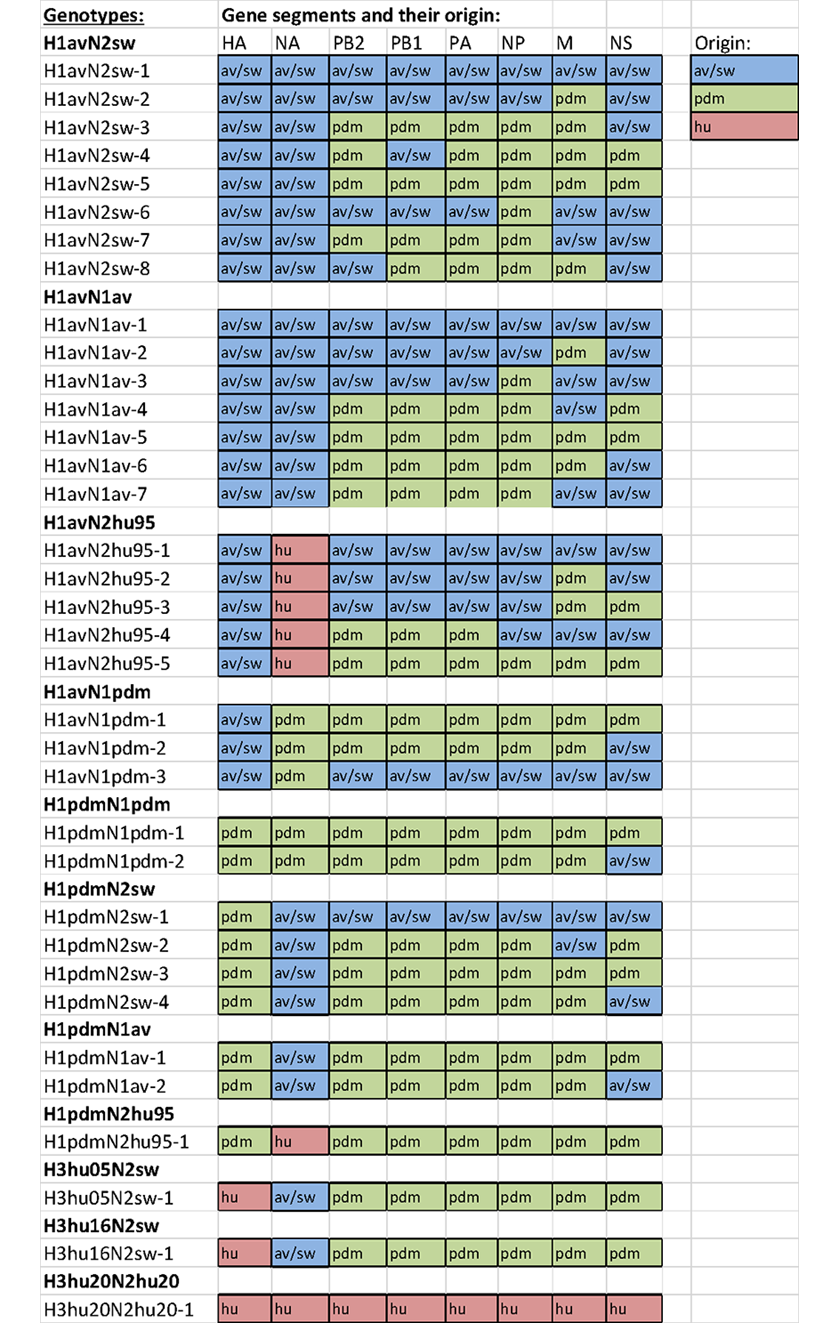 Figuren viser oversigt over genotyper