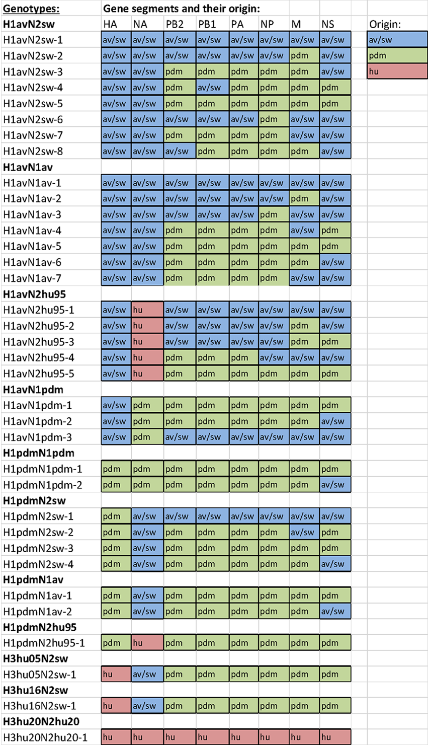 Figuren viser oversigt over genotyper