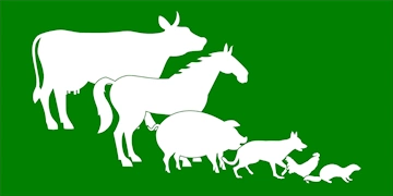 Sygdomsleksikon